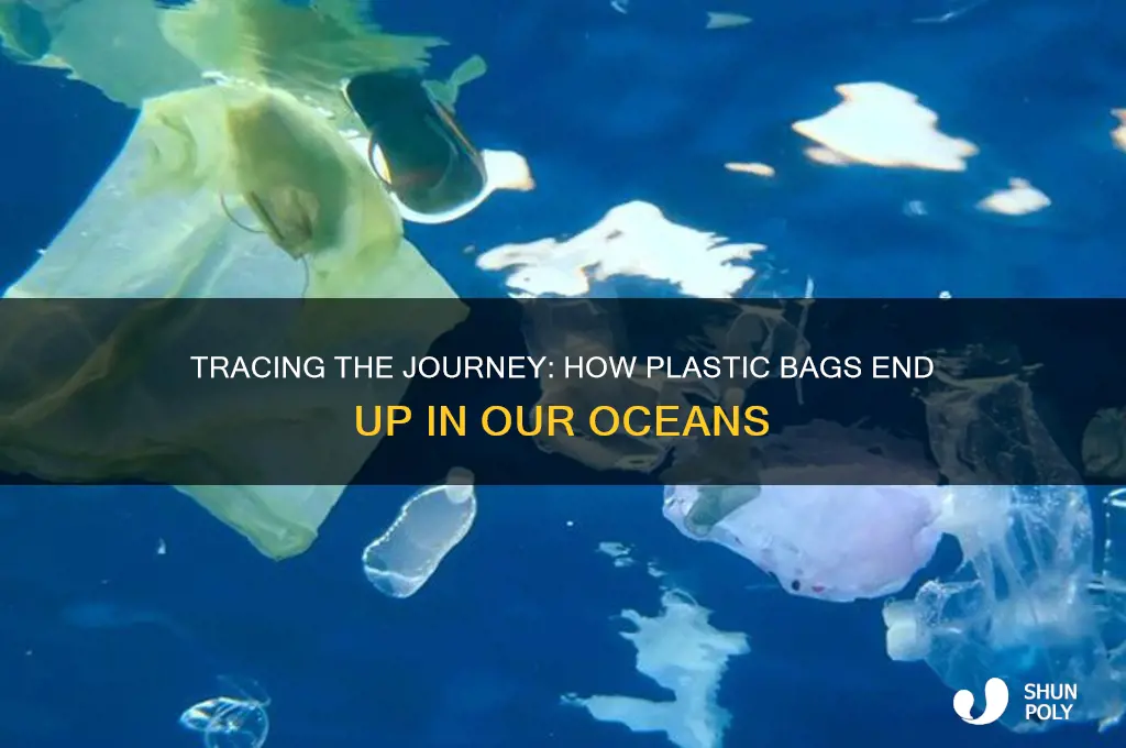 where do plastic bags in the ocean come from