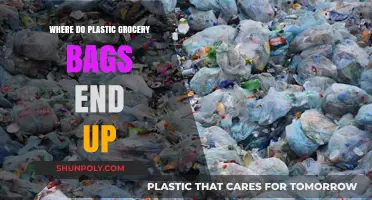 The Journey of Plastic Grocery Bags: From Store to Landfill and Beyond