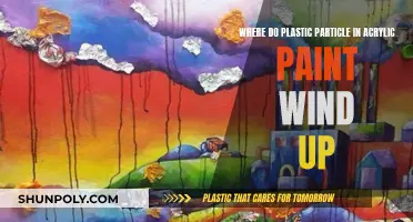 Plastic Particles in Paint: Where Do They Hide?