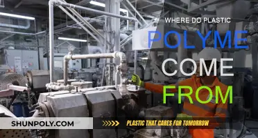The Evolution of Plastic Polymers: Origins and Sources
