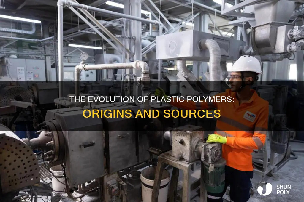 where do plastic polymers come from