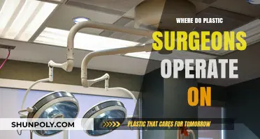 Where Do Plastic Surgeons Operate? Exploring Surgical Settings and Facilities