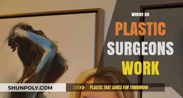 Where Do Plastic Surgeons Work? Exploring Their Diverse Practice Settings