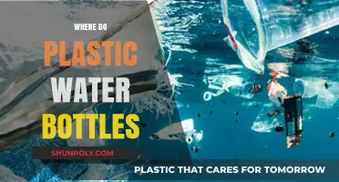 Where Do Plastic Water Bottles Go? Uncovering Their Environmental Journey
