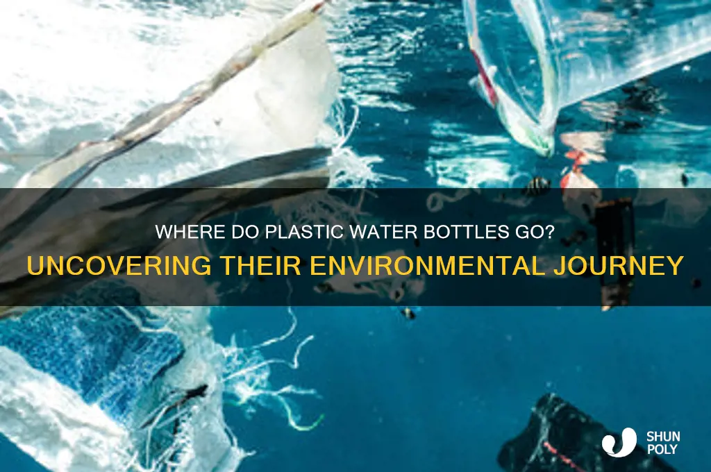 where do plastic water bottles