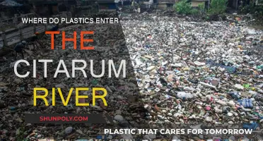 The Citarum River: Tracing Plastic Sources