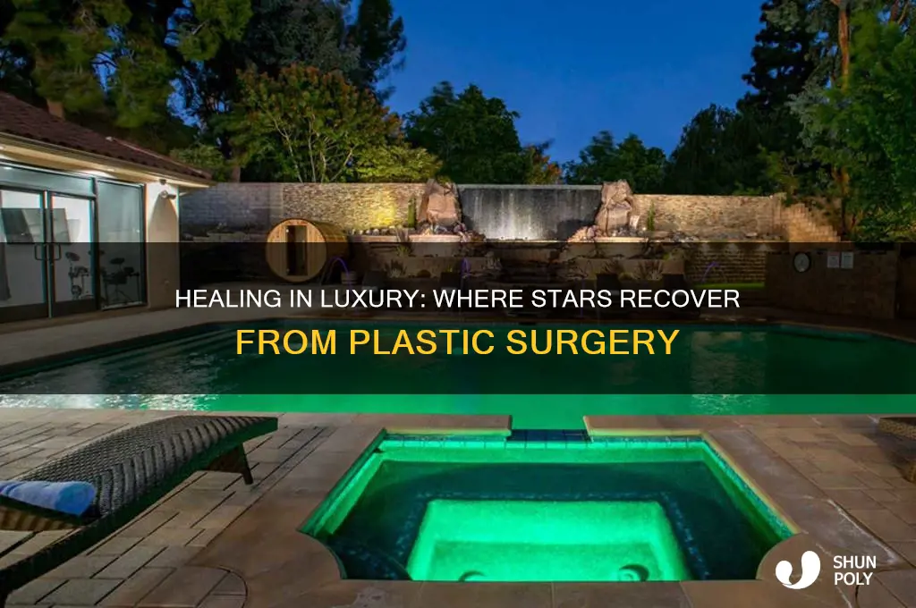 where do stars go to heal from plastic surgery