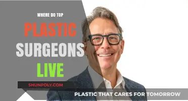 Top Plastic Surgeons' Locations: Where Expertise Meets Excellence Globally