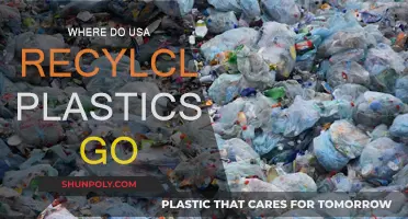 The US's Recycled Plastics: Where Do They End Up?