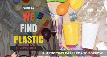 Unveiling the Ubiquitous: Where Plastic Lurks in Our Daily Lives