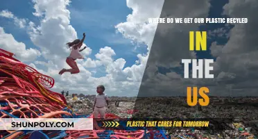 Where Does US Plastic Go for Recycling? Uncovering Domestic Processing