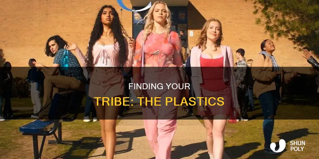 where do you belong meet the plastics