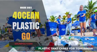Unveiling the Journey: Where Does 4ocean Plastic Go?