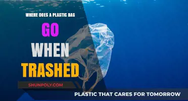 The Journey of a Plastic Bag: From Trash to Environmental Impact