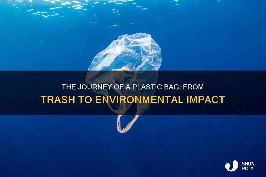 where does a plastic bag go when trashed