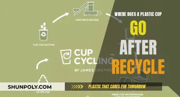 The Journey of a Plastic Cup: Post-Recycling