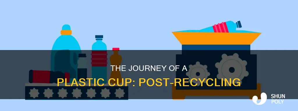 where does a plastic cup go after recycle