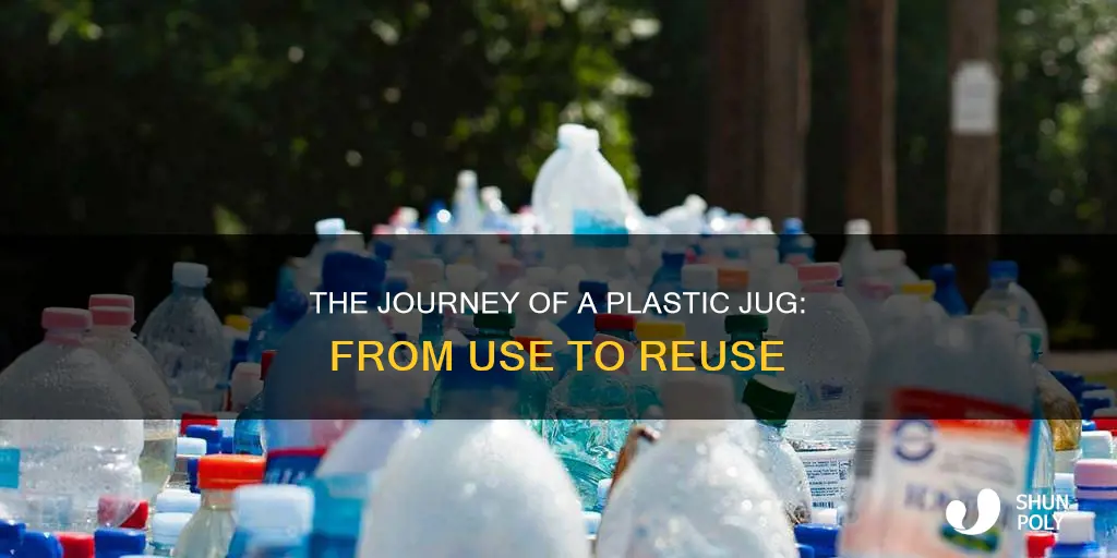 where does a plastic jug go