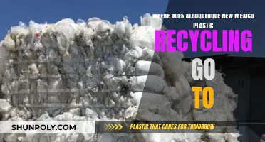 Albuquerque's Plastic Recycling: Where Does It Go?