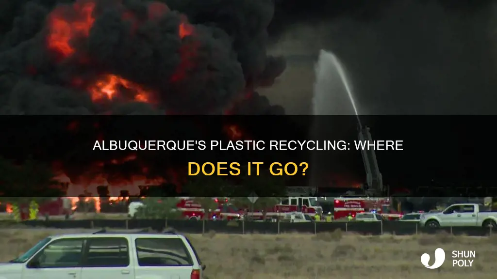 where does albuquerque new mexico plastic recycling go to