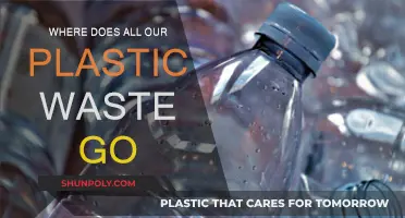 The Dark Truth of Plastic Waste Disappearance