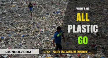 The Vanishing Act: Unraveling the Mystery of Plastic Waste Disappearance
