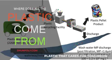The Plastic Problem: Origins and Impact
