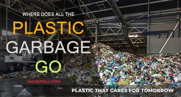 The Fate of Plastic Garbage: Where Does It End Up?