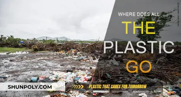 The Mystery of Missing Plastics: Where Do They Go?