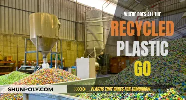 The Journey of Recycled Plastic: Where Does It End Up?
