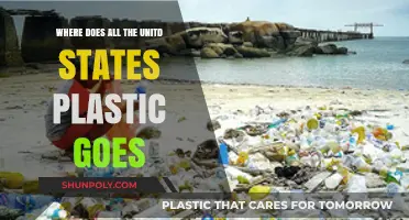 The Journey of U.S. Plastic Waste: Where Does It All Go?