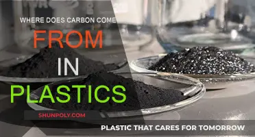 The Origin of Carbon in Plastics
