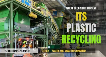 Cleveland's Plastic Recycling: Where Does It Go?
