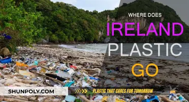 Ireland's Plastic: Where Does It End Up?