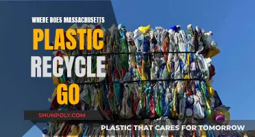 Massachusetts' Plastic Recycling: Where Does It Go?