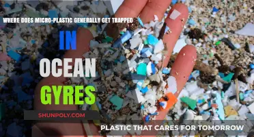 Microplastics in Ocean Gyres: Where They Accumulate and Why It Matters