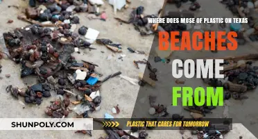 Tracing the Origins of Plastic Pollution on Texas Beaches