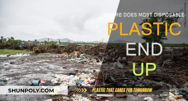 The Fate of Plastic: Where Does It Go?