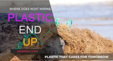 The Fate of Marine Plastics: Where Do They Go?