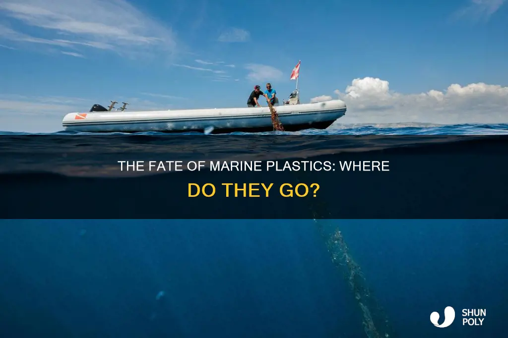 where does most marine plastic end up
