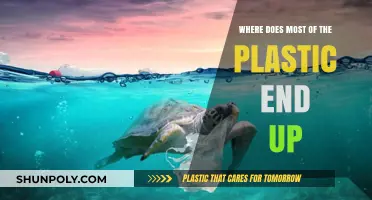 The Alarming Journey of Plastic Waste: Where Does It End Up?