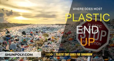 Plastic's Final Destination: A Troubling Truth