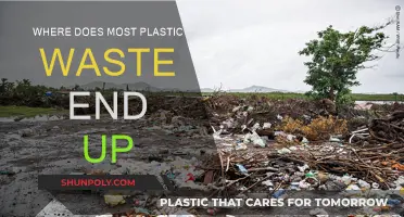 Plastic's Final Destination: Our Planet's Waterways
