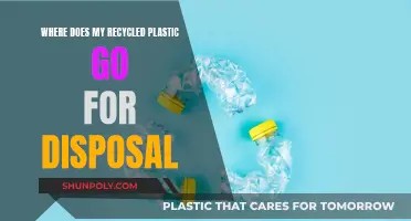 The Journey of Recycled Plastic: From Bin to Disposal
