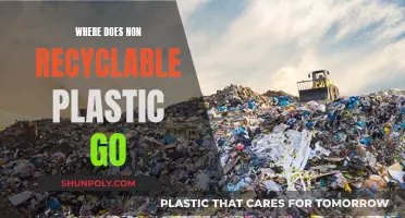 The Dark Truth of Non-Recyclable Plastics