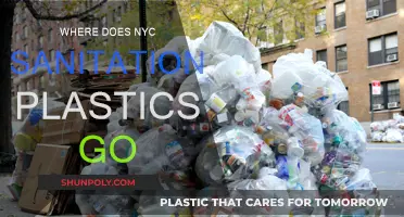 Unveiling NYC's Sanitation Plastics: Where Does It All Go?