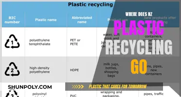 The Mystery of New Zealand's Plastic Recycling Destination