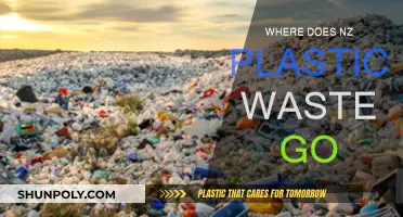 The Dark Truth of New Zealand's Plastic Waste