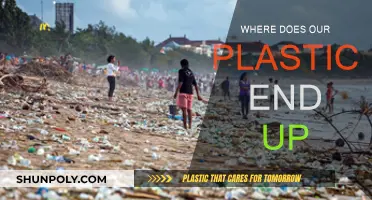 The Plastic Trail: Where Does it End?