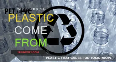 The Evolution of PET Plastic: Origins and History